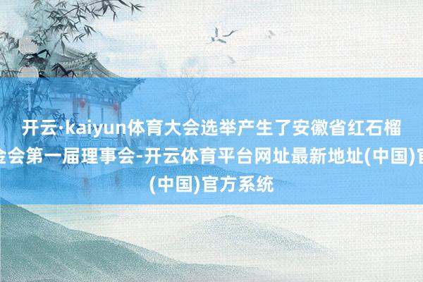 开云·kaiyun体育大会选举产生了安徽省红石榴慈善基金会第一届理事会-开云体育平台网址最新地址(中国)官方系统