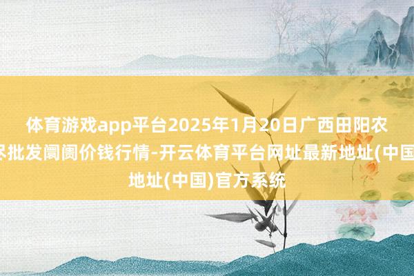 体育游戏app平台2025年1月20日广西田阳农副居品详尽批发阛阓价钱行情-开云体育平台网址最新地址(中国)官方系统