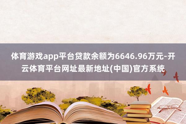 体育游戏app平台贷款余额为6646.96万元-开云体育平台网址最新地址(中国)官方系统
