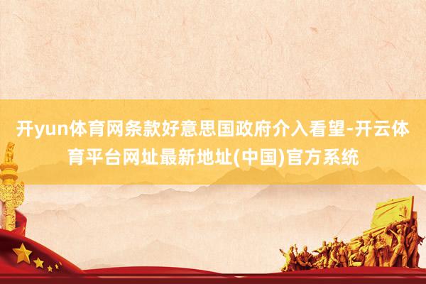 开yun体育网条款好意思国政府介入看望-开云体育平台网址最新地址(中国)官方系统