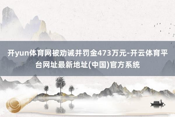 开yun体育网被劝诫并罚金473万元-开云体育平台网址最新地址(中国)官方系统