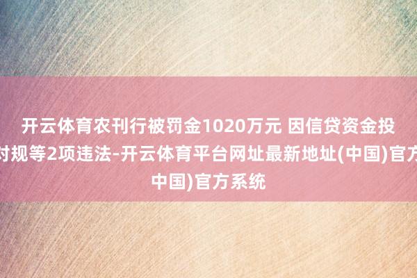 开云体育农刊行被罚金1020万元 因信贷资金投向不对规等2项违法-开云体育平台网址最新地址(中国)官方系统