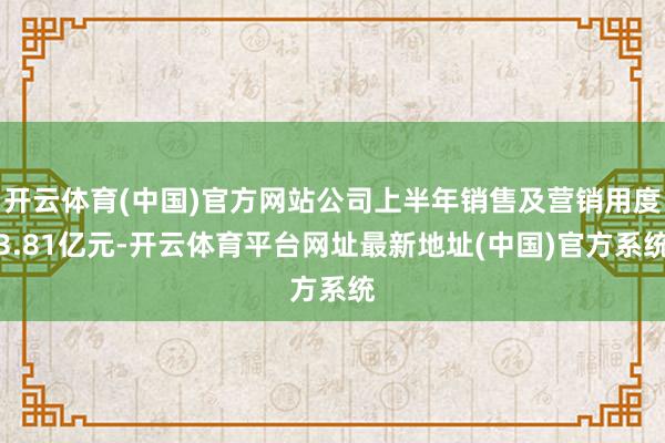 开云体育(中国)官方网站公司上半年销售及营销用度3.81亿元-开云体育平台网址最新地址(中国)官方系统