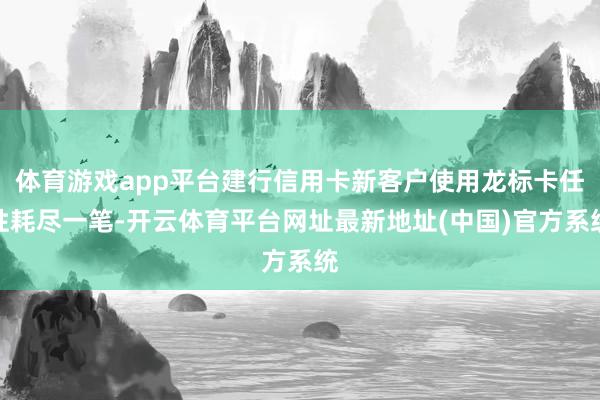 体育游戏app平台建行信用卡新客户使用龙标卡任性耗尽一笔-开云体育平台网址最新地址(中国)官方系统