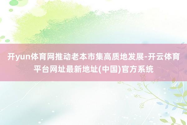 开yun体育网推动老本市集高质地发展-开云体育平台网址最新地址(中国)官方系统