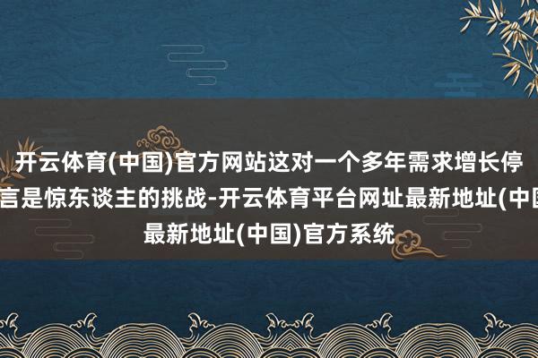开云体育(中国)官方网站这对一个多年需求增长停滞的系统而言是惊东谈主的挑战-开云体育平台网址最新地址(中国)官方系统